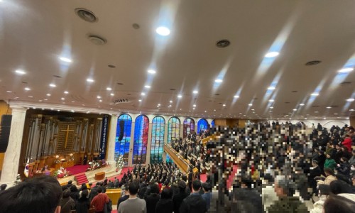 怀孕可以吃豆粕吗？怀孕吃什么比较好